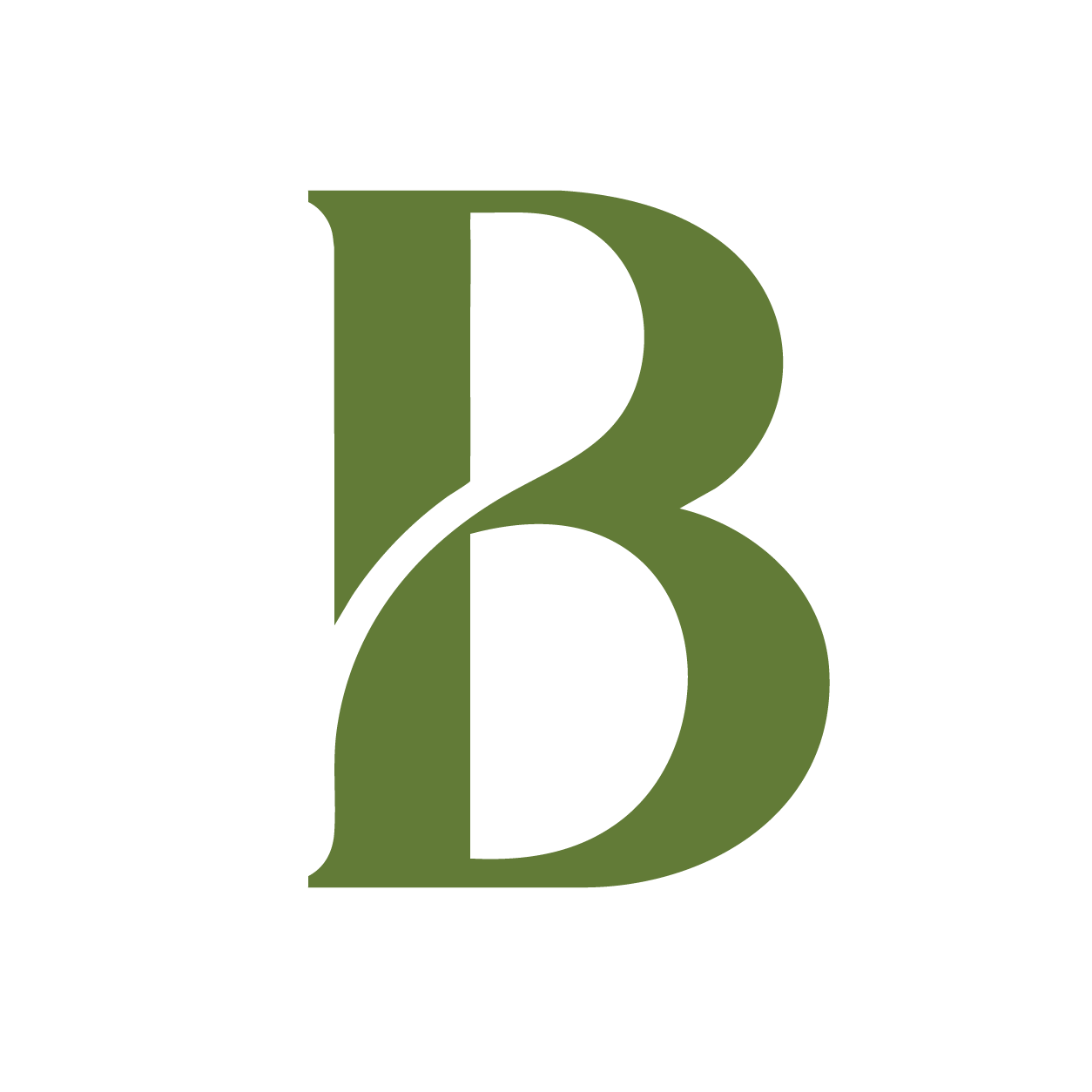 Bixlr Portal